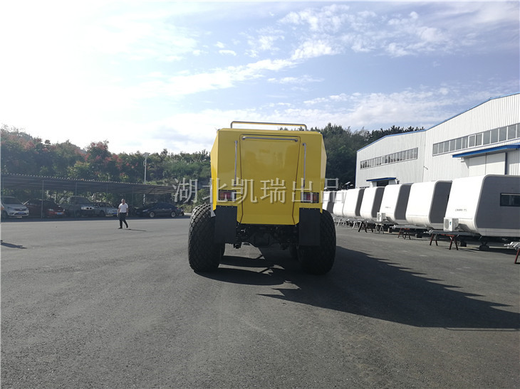 沙漠沖浪車尾部爬梯