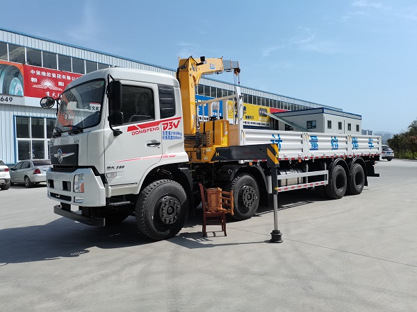 賽家牌WHR5310JJHD6型計量檢衡車